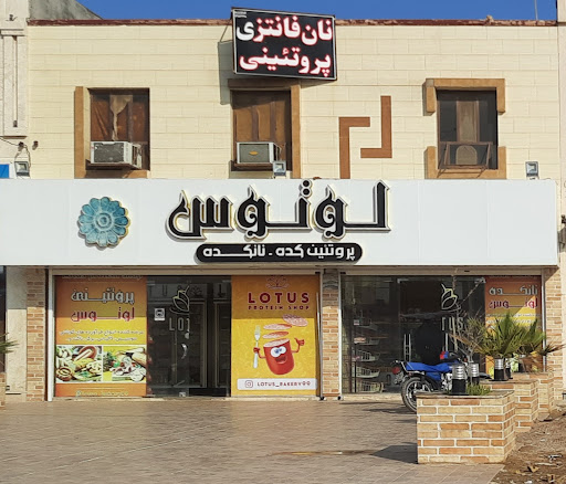 نان فانتزی و پروتئنی لوتوس