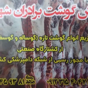 پروتعین برادران شهبازی 5