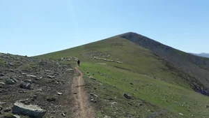 بره سر