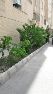 مجتمع مسکونی پریسان یک