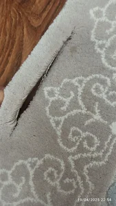 قالیشویی جام