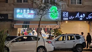 پیتزا فکتوری 3