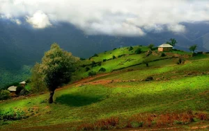 آلاشت کجاست | جاهای دیدنی + عکس و مسیر آلاشت مازندران - کجارو