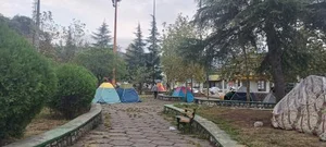 پارک سنگی 2