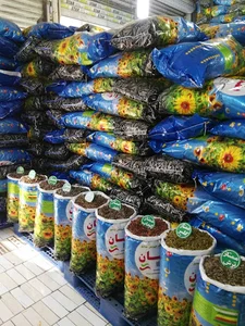 تخمه دهقان
