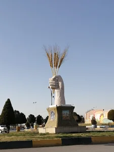 میدان گندم