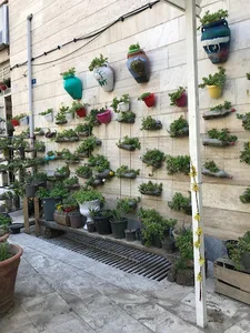 جمعیت طلوع بی نشان ها- سرای مهر بانوان