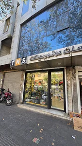 TNS - Tehran Novin Sanat
