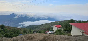 بام فیلبند