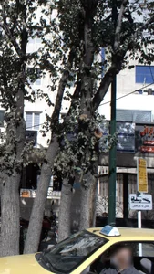 ایستگاه تاکسی