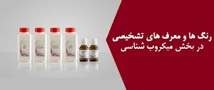Darvash Company شرکت دارواش