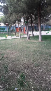 بوستان بانوان
