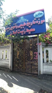 موزه تاریخ طبیعی گیلان 3