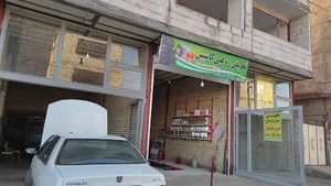 اتو سرویس کاسپین رضا مهری