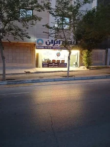 بیمه ایران الماسیان