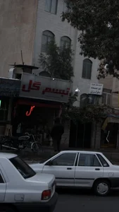 تبسم گل