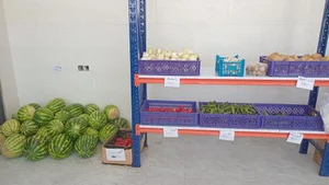 تره بار پیام 2