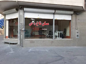 مشاوره املاک شاخص
