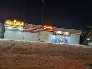 مهیا پروتئین