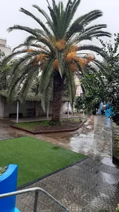 دبستان پسرانه غیردولتی کوشا