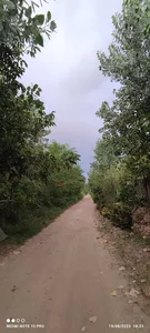 دشت شالی مهران