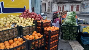 میوه تره‌بار سپنتا 2