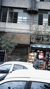 گل ناز