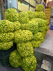 باغ لیمو مهدی