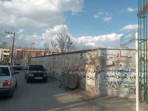 خیابان نیلوفر
