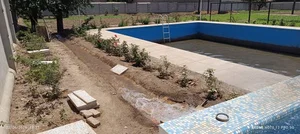 باغ سبزی امام رضا 3