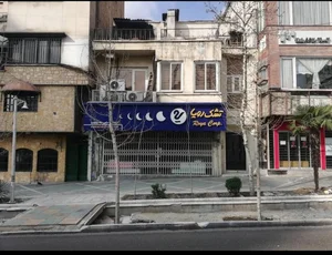تشک رویا 4