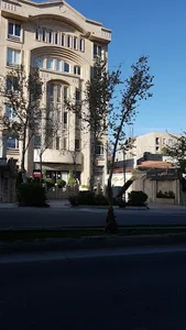 دکتر فائزه احمدی