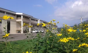 کارخانه چای سازی دامنه