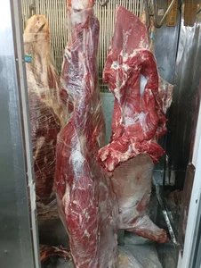 سوپر گوشت توحید 5