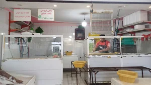 ماهی فروشی ناخداعباس(دفتر فروشگاه آنلاین مرکز ماهی)