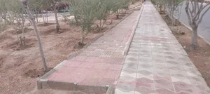 بوستان زمستان 5