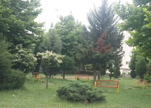 پارک نسترن