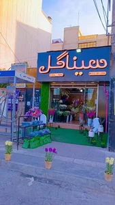 سینا گل 2