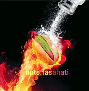 آجیل فصاحتی 4