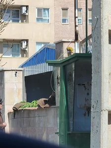 میوه فروشی سبزآبادی