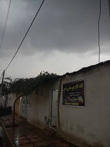 کافه کاخ دورهمی رامین