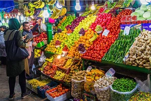 سوپر میوه دست چین