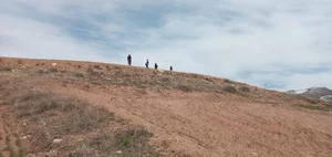 سهرورد