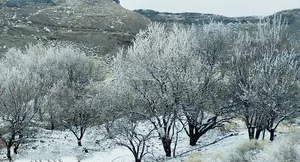 سیاهرود