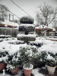 رستوران کوثر