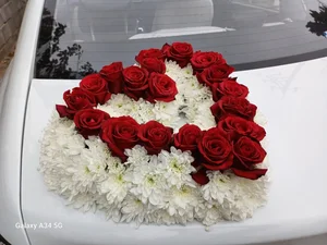 گل و گیاه نیری 2