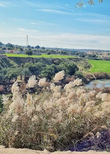 محوطه صحرای بل بل