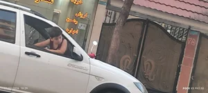 پخش گوشت دامداران