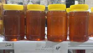 عطاری دهکده سلامت 3