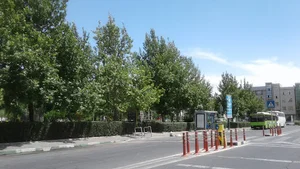 بوستان ارغوانی